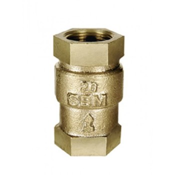 GM NRV Steam Check Valve/Non Return Valve Vertical Lift Screwed Forged SS Working Part Heavy (WJ-Neta)